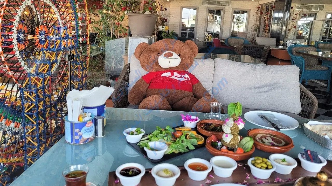 زيتونة باي جدة